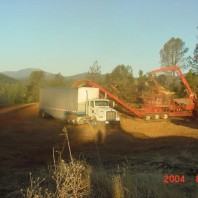 HAZELWOOD 026_680x510